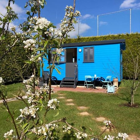 Atlantic Way Shepherd Hut Moville Exterior foto